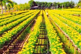 Con Dao & Mekong to Ho Chi Minh City Cycling Tour by Island Hope 15 Days